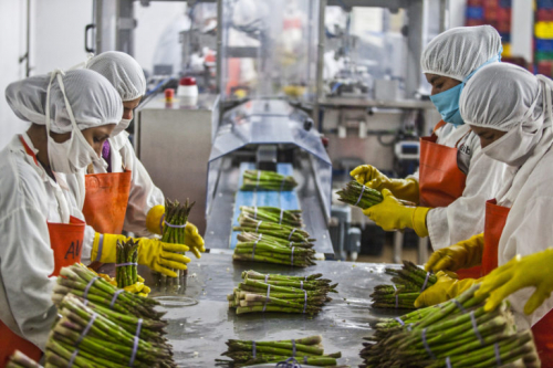 Middle-East based Investor is seeking fruit and vegetables processing plants