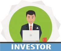 Investor based in the USA is seeking IT businesses