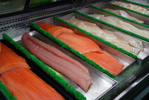 Fish products producer is seeking investment opportunities